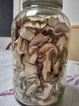 Dubáky sušené - 2