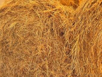 Predám tohtoročné (2025) ekologické seno (certifikované) - 2