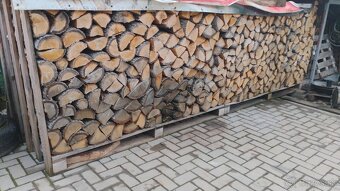 Palivove drevo DUB - 2