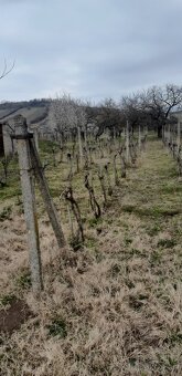 Predám pozemok s unimobunkou a vínnou pivnicou - 2