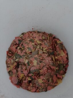 Tropical Ichtio - vit - 2
