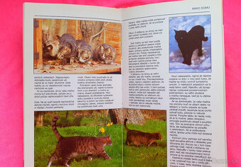 Vaša mačka a mačiatko. - 2