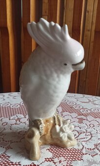 Royal dux - papagaj - 2