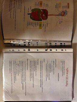 Maturita z biológie podklady - 2