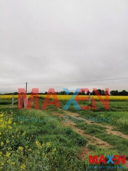 Predaj: MAXEN, Pozemok orná pôda, 3 parcely, 3 585 m2, Koš - 2