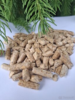 Drevené pelety a brikety - 2