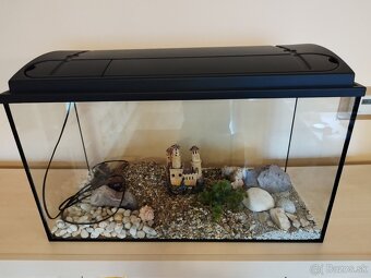 Akvarium - 2