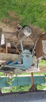 Srotovnik na obilie - 2