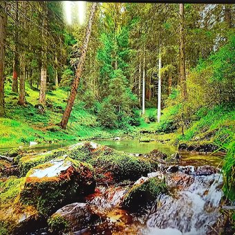 Thomson 4k Android smart tv 55(139) - 2