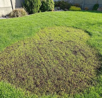 Záhradný servis - 2