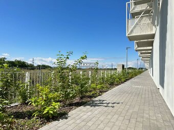 | parkovacie miesto s odpočtom DPH - Slnečnice POP, Labutia - 2