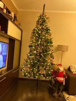 3D Smrek Ďumbier 250 cm - 2