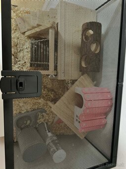 Predam terrarium - 2