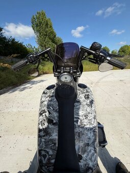 Harley Davidson Fxdb street bob špeciál - 2