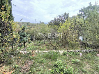 Záhrada Nové mesto nad Váhom - 2