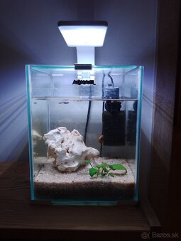Predám 10L akvárium (shrimp set) - 2