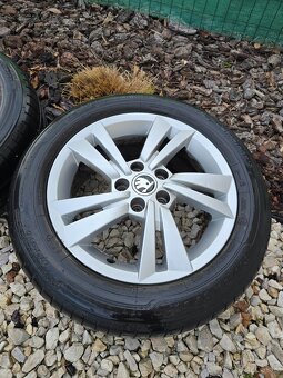 Skoda cygnus r15 letne - 2