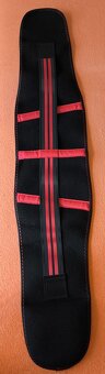 Ladvinovy pas - 2
