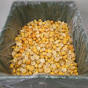 Citrusové šupy - vedľajší biologický produkt - 2