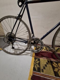 Favorit zavodnicka - 2