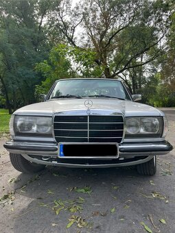 Mercedes Benz W123 - 2