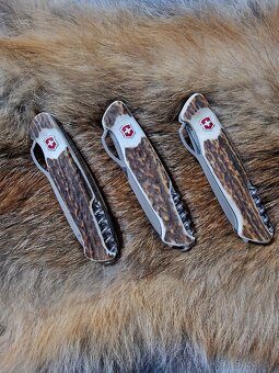 Victorinox 130mm (wenger) paroh - 2