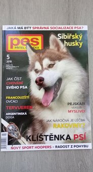 Pes přítel člověka - 2