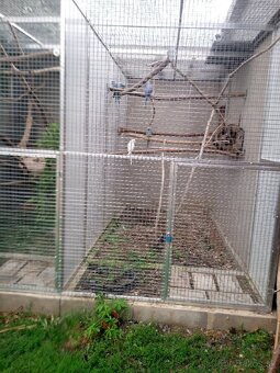 Alexandre malé ročník 25 - 2