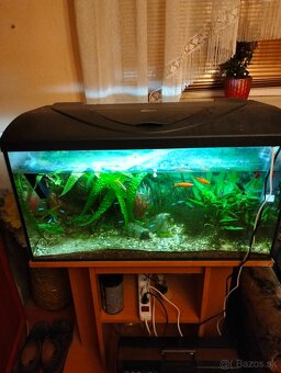 Predam komplett akvarium - 2