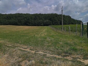 Na predaj budúci stavebný pozemok, pri Trnave, Lošonec - 2