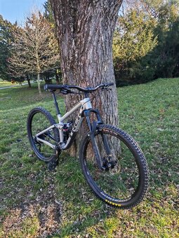 Trek Fuel EX 8 29 (2018) - 2