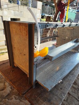 Klietka pre prepelicky - 2