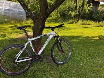 Cross hexagon v4 MTB collection - 2