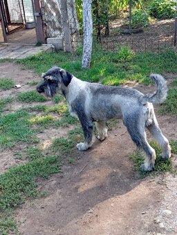 Krytie Bradáč stredný - 2