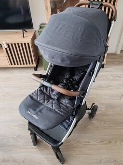 EASYWALKER Kočík športový Jackey XL Platinum Edition - 2