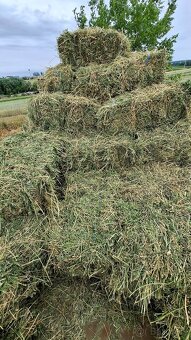 Seno lucerka jačmeň - 2