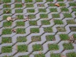 Zatrávňovacia dlažba 50x50x8 - 2