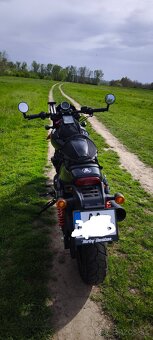 Harley Davidson street rod 750 2017r.v. - 2