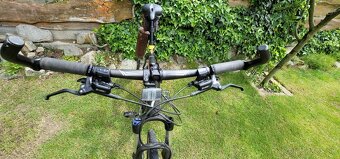 Specialized Rockhopper 29" - 2