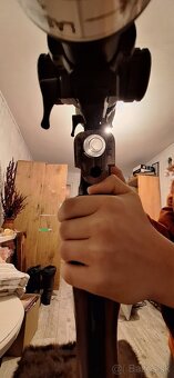 Gulobrokova kozlica - 2