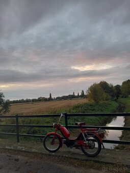 Diely babetta 210 - 2