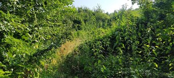 Veľký Pesek - Sikenica - 2