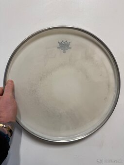 REMO Ambasador 14” - 2