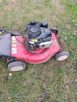 Darujem  za odvoz - 2