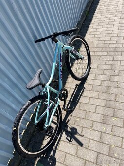 bicyklik Amulet 24” - 2