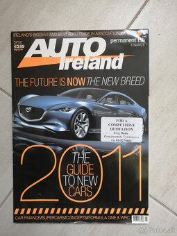 autokatalog 2011 IRL - 2