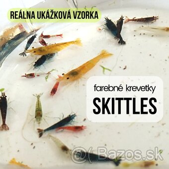 Farebné krevety Skittles 12ks - 2