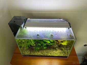 Komplet akva 25l - 2
