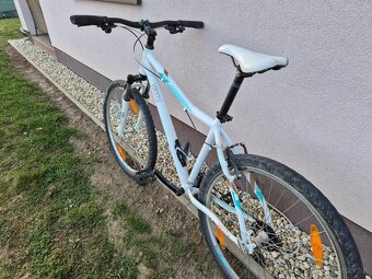 Kellys Vanity 10 - 2