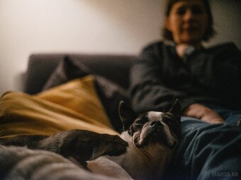 fujifilm gfx 50sii + GF 35-70 Wr +2 objektivy - 2